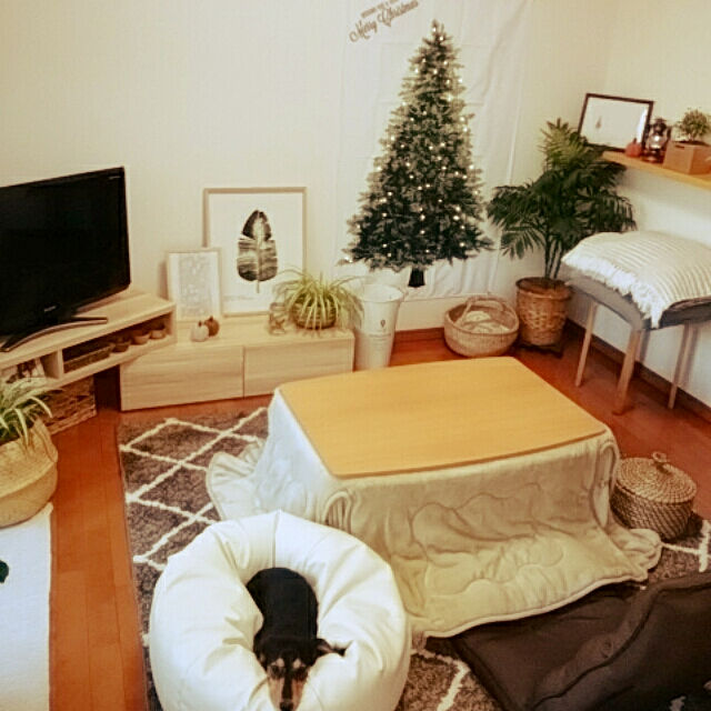 reonのニトリ-フロアクッション・座布団本体(ウレタン 55x59) の家具・インテリア写真