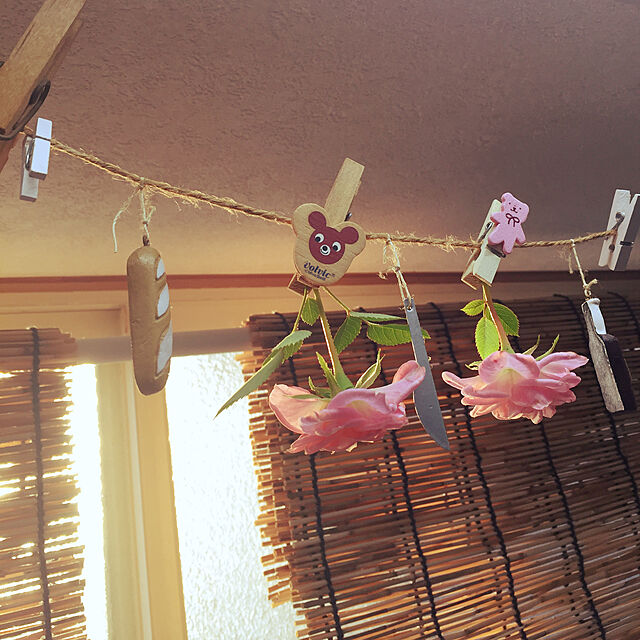 takakoの-ミニバラ （NHK趣味の園芸ーよくわかる栽培12か月） [ 河合伸志 ]の家具・インテリア写真