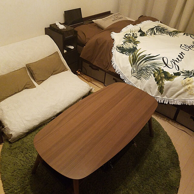 mkの大阪アキレスエアロン-アキレス ソファーベッド(クッション2個付) ブラウン CSBC-1501K2(BR)の家具・インテリア写真