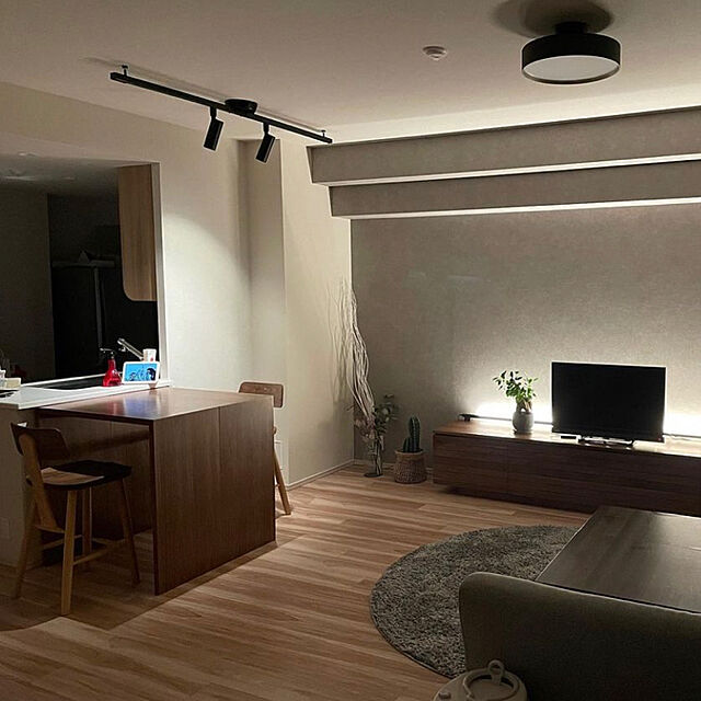 Marcoの-【Alexa対応】エジソンバルブLEDスマート スポットライト ダクトレール用 (ブラック) 2個セット LED一体型 調光 調色 スマート電球 DST-SL01BKの家具・インテリア写真
