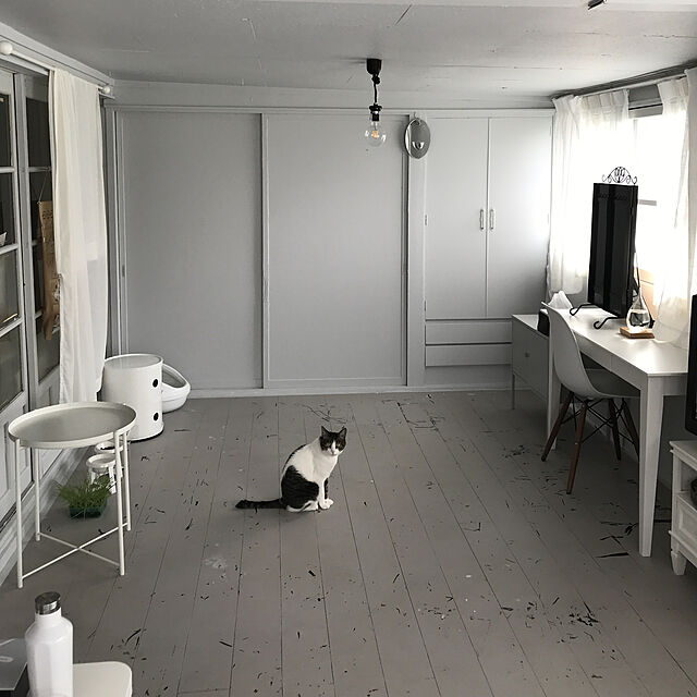 Shihoの-pecolo Food Stand S(Tall) 陶器浅型　フードボウルスタンド 猫　フードボウルの家具・インテリア写真