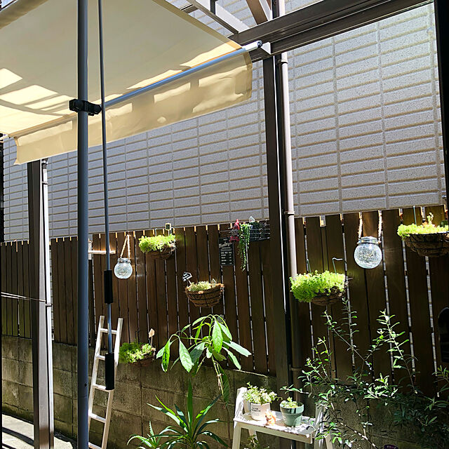 Nobbyのアイリスオーヤマ-ハンギングバスケット 吊り鉢 フックタイプ 幅25cm アイリスオーヤマの家具・インテリア写真