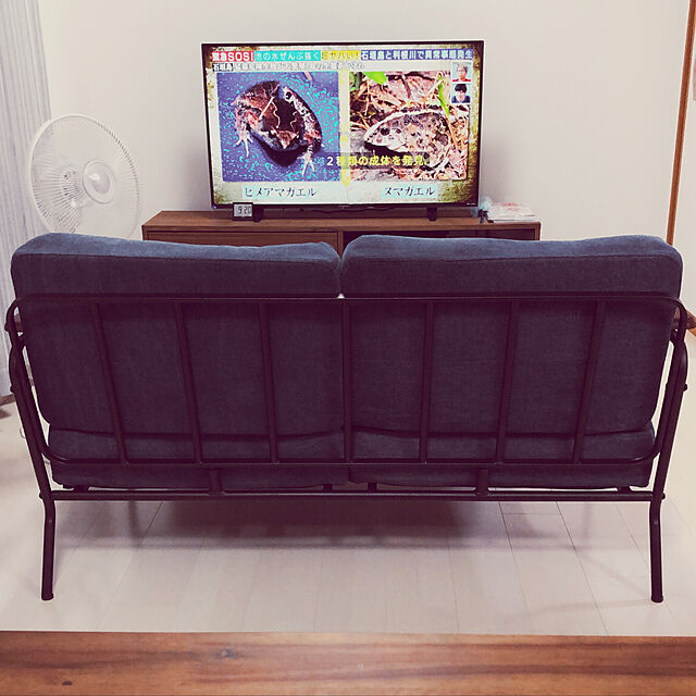 hit_kokiのニトリ-カーテン＆レース4枚セット（マラカGY 100X178X4） の家具・インテリア写真