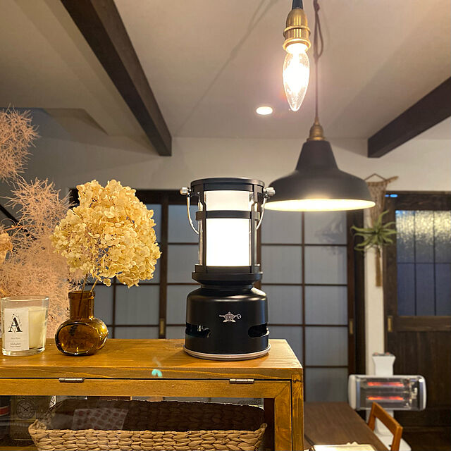 capelの日本エー・アイ・シー-アラジン　電気ストーブ [1000W/グラファイトヒーター]　CAH-2G10DW ホワイトの家具・インテリア写真