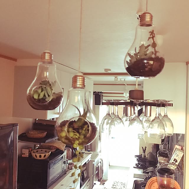 Chisaの-電球型の収納インテリア テラリウム 電球 癒し 観葉植物 インテリア 植物 花瓶 ◇RC-TERRA01の家具・インテリア写真