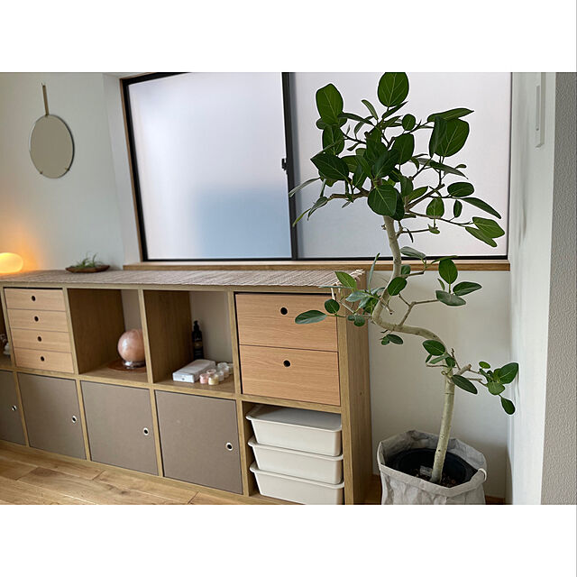 shirokumaの-鉢カバー 25x39 9号 紙 特大 おしゃれ 室内 穴なし 観葉植物 軽量 スクエア 縦長 長方形 収納カゴの家具・インテリア写真