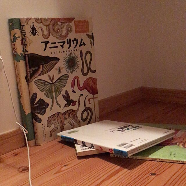 Norikoの福音館書店-はじめてのおつかい(こどものとも傑作集)の家具・インテリア写真
