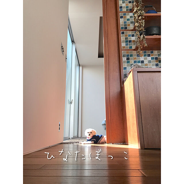 Komiyaの-LODGE LOGIC【ロッジ ロジック】コンボクッカーの家具・インテリア写真