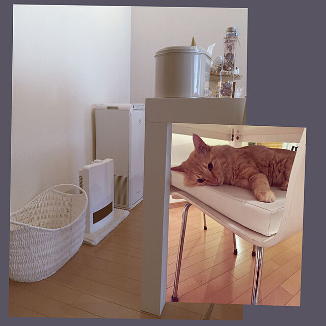 Ryokoのダイキン工業-DAIKIN 加湿ストリーマ空気清浄機 MCK55S-Wの家具・インテリア写真