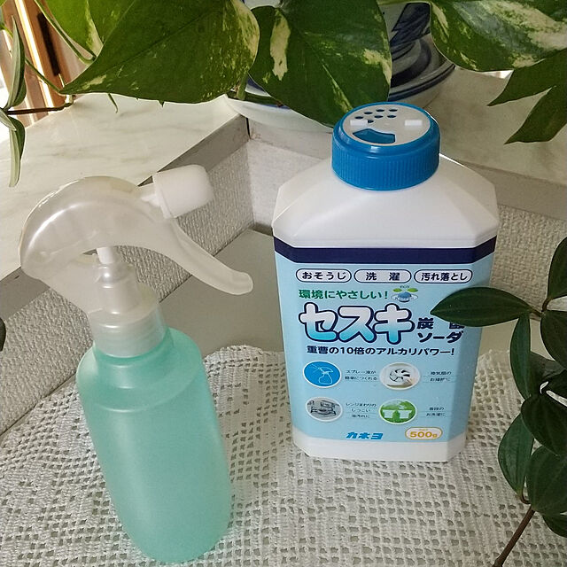 Renのカネヨ石鹸-カネヨ セスキ炭酸ソーダ ( 500g )/ カネヨの家具・インテリア写真