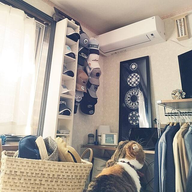 hiro3のイケア-TJENARE ティエナレ 洋服ハンガーの家具・インテリア写真