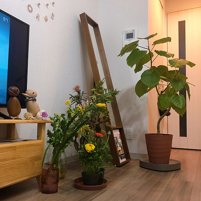 mimoriのtidy-tidy プランタブル Plantable 日本製 キャスター付き 鉢台 OT-668-100 ティディ アクトワークスの家具・インテリア写真