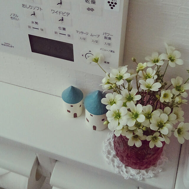 Renの-春の訪れのお花！！クモマグサ　　【雲間草】の家具・インテリア写真