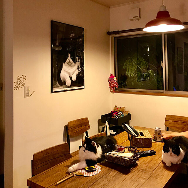 butachanのイケア-【IKEA -イケア-】ikea ワゴン シェルフ RASHULT -ロースフルト- キッチンワゴン ブラック 38x28x65 cm (304.459.91)の家具・インテリア写真