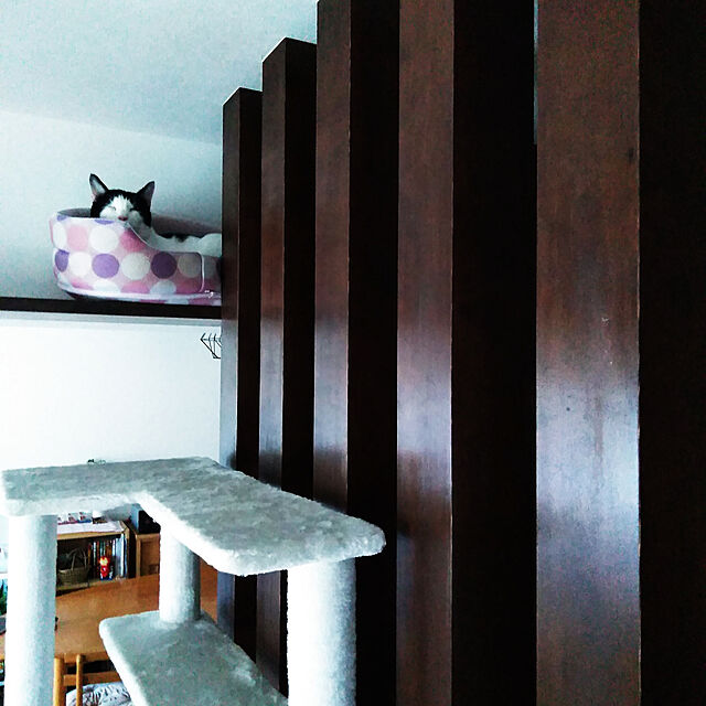 futukoのコンポジット-キャットツリー タワー 麻ひも 据え置き 全高 170cm シニア 運動不足 猫 GRANDE170 組み立て 簡単 爪とぎ 部屋 ハウス付き スクラッチ ねこ 送料無料の家具・インテリア写真