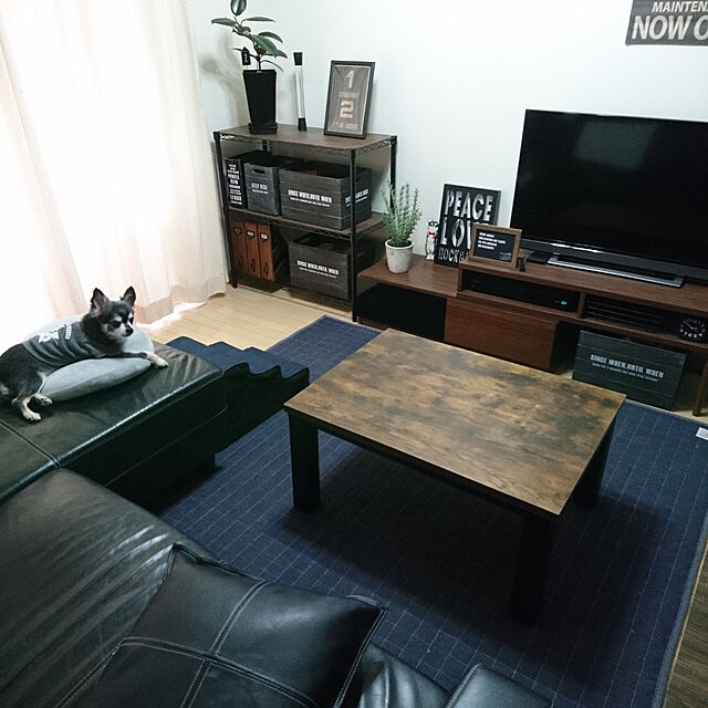 lovepeaceのニトリ-リビングこたつ(ステインC 8060 V BROWN) の家具・インテリア写真