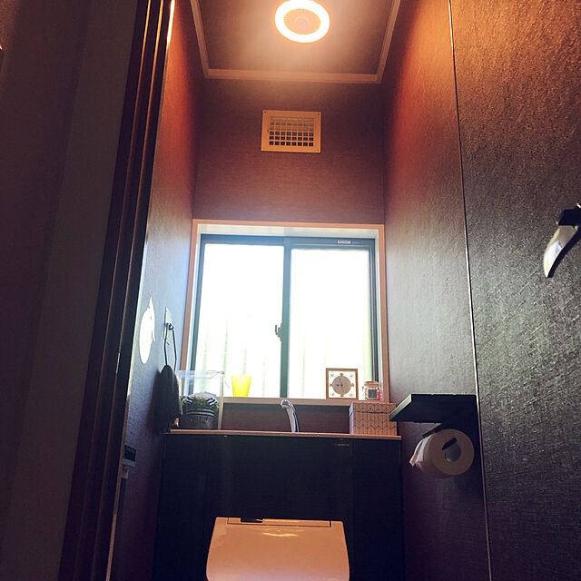 Yukinekoのドウシシャ-【旧型】ソケットライトの家具・インテリア写真