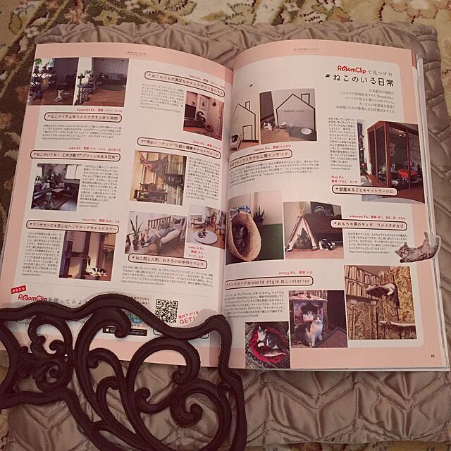 emmyyの辰巳出版-ねこ 2017年 2月号 Vol.101の家具・インテリア写真