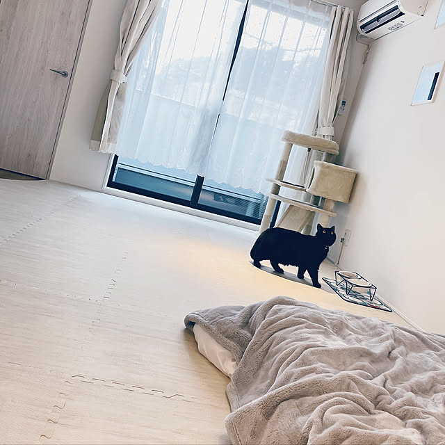 neko_roomのニトリ-なめらか毛布 シングル(ナメラカタッチ i LGY S) の家具・インテリア写真