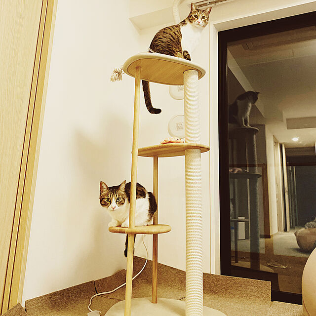KARIMOKU CAT TREE カリモク家具 日本製 キャットタワー 撥水加工生地 綿縄爪とぎ 木製 高さ124cm 据え置き (ホワイ