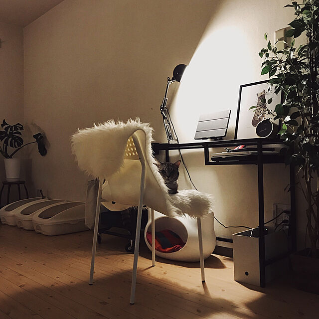 ineko_kのイケア-【あす楽】IKEA イケア チェア ホワイト 白 c90219179 ADDE アッデ イス ダイニングチェア おしゃれ シンプル 北欧 かわいい 家具の家具・インテリア写真
