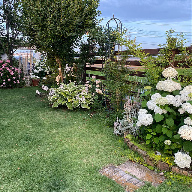 写真付きレビュー 花木 庭木の苗 アメリカアジサイ ピンクのアナベル2 5号ポットの通販商品 口コミ情報 Roomclipショッピング 写真付きレビュー 花木 庭木の苗 アメリカアジサイ ピンクのアナベル2 5号ポットの通販商品 口コミ情報 Roomclipショッピング