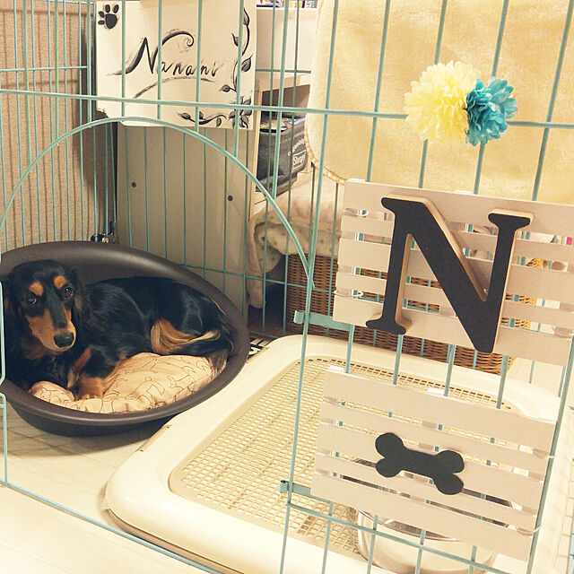 773のリッチェル-リッチェル ペットベッド オーバル M ブラウン 犬猫小動物用の家具・インテリア写真