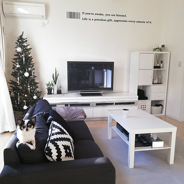 milのイケア-【期間限定】【IKEA/イケア/通販】 KALLAX カラックス シェルフユニット, ハイグロス ホワイト(d)(50353589)【代引不可商品】の家具・インテリア写真