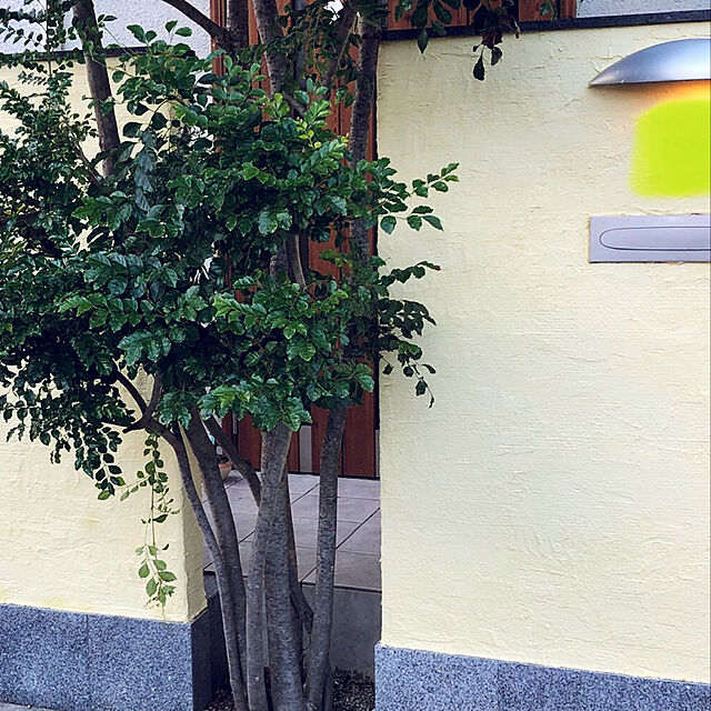 tsujihiroの-送料無料！簡単！外壁用練り漆喰プレミアム 全15色 20kg（畳5枚分 約8.25m2）/PROST 練済み漆喰 日本製 左官 塗り壁 漆喰 ペイント 外壁用 漆喰の家具・インテリア写真