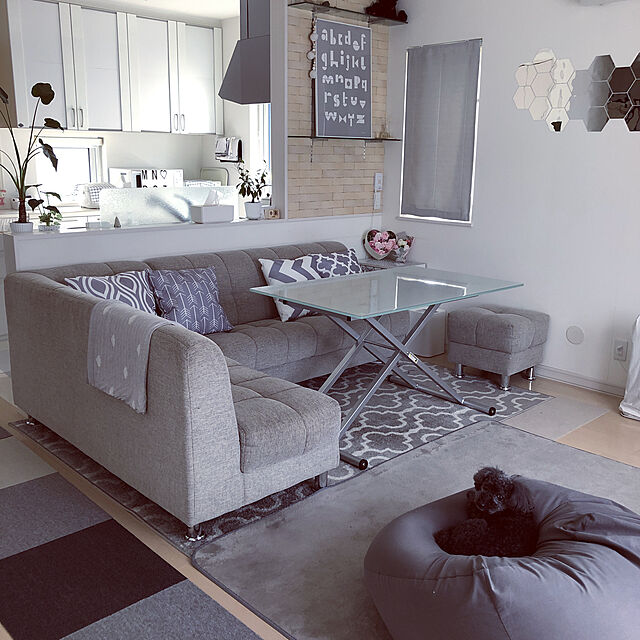mama_panのニトリ-ウィルトン織りラグ(ロト GY 160X235) の家具・インテリア写真