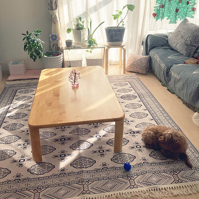 mikiの萩原-トルクメン風 洗えるラグの家具・インテリア写真