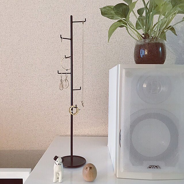 decoの無印良品-観葉植物用ハイドロボールの家具・インテリア写真