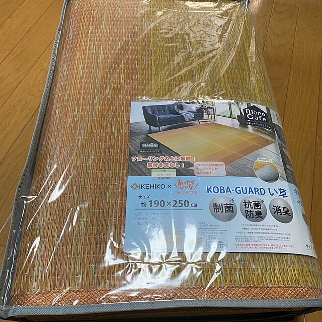 momoのイケヒコ・コーポレーション-い草ラグ　ＮＣＸクリア　【イケヒコ】の家具・インテリア写真
