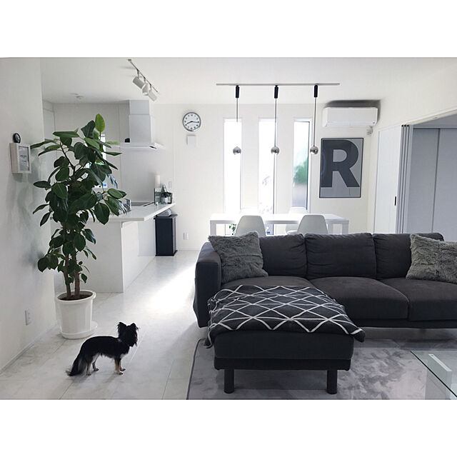 mari.s.homeの-R ビッグアルファベットポスター モノクロ Playtype プレイタイプ　北欧 デンマークの家具・インテリア写真
