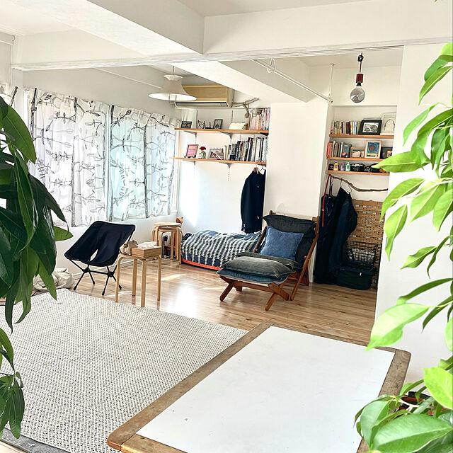 Aiのイケア-PACHIRA AQUATICA 鉢植えの家具・インテリア写真