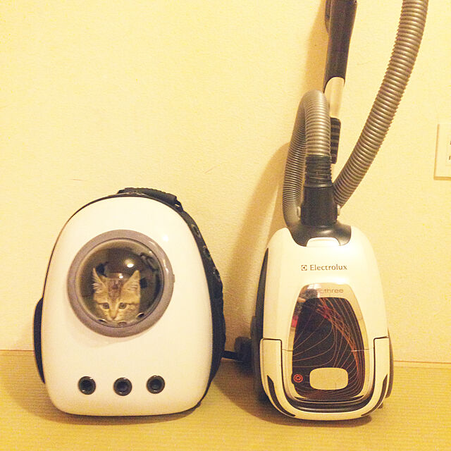 kazukiのIiomise-Iiomise ペット バッグ ペット用キャリーバッグ 宇宙船カプセル型ペットバッグ 犬猫兼用 ネコ ニャンコ 犬 バッグ リュック型ペットキャリー 人気ペット鞄 (PC-ミント グリーン)の家具・インテリア写真