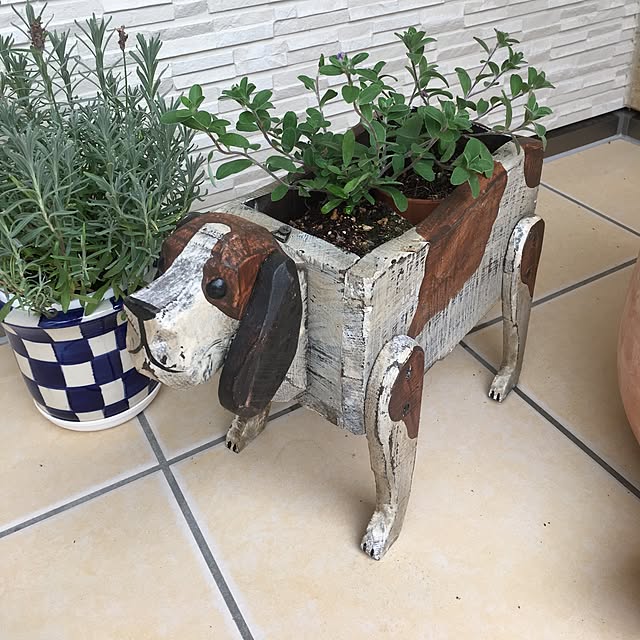 写真付きレビュー 30 オフ 今年1年の感謝を込めて 植木鉢 鉢 プランター おしゃれ Wood 木製 アニマル 動物 アンティーク風の手作り 感たっぷりウッドプランター ウッドアニマルポット 2 イヌ 鳥 ワニ ぶた 白くま の通販商品 口コミ情報 写真付きレビュー 30 オフ 今年1年の感謝を込めて 植木鉢 鉢 プランター おしゃれ Wood 木製 アニマル 動物 アンティーク風の手作り 感たっぷりウッドプランター ウッドアニマルポット 2 イヌ 鳥 ワニ ぶた 白くま の通販商品 口コミ情報