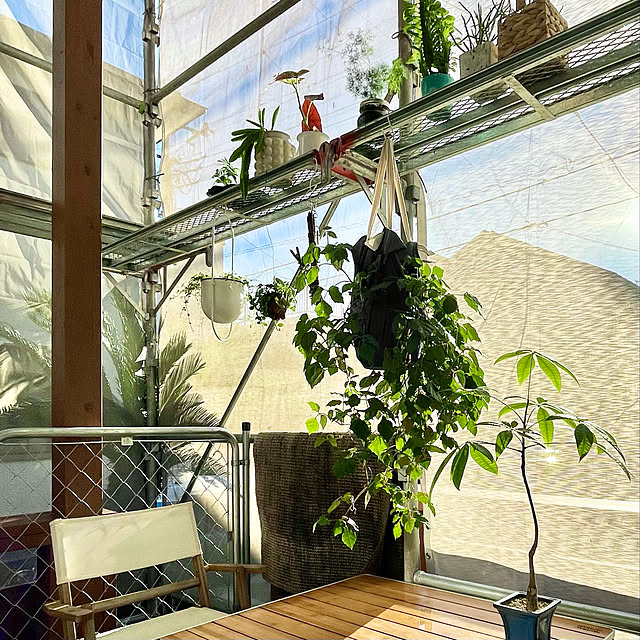 2021人気特価 IKEA LOHALS ローハルス ラグ 平織り 80×150cm