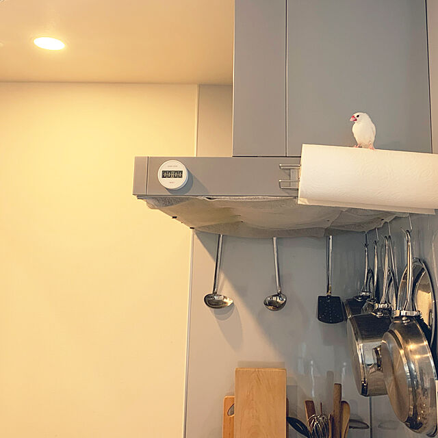 senwhaleの-Cuisinart クイジナート　25cm 3層フライパン　スキレットMultiClad Proシリーズの家具・インテリア写真