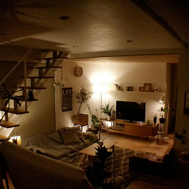 chieの-アガベ アメリカーナ　黄斑入の家具・インテリア写真