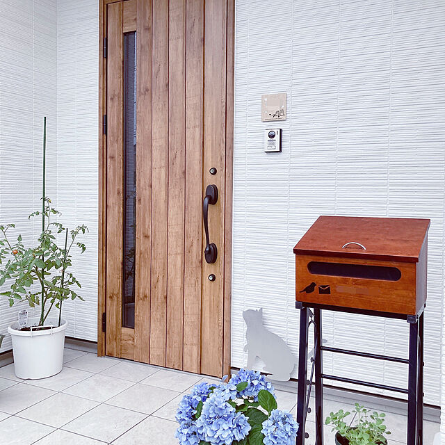 Kumaの-（観葉植物）ハーブ苗　アロマティカス　2．5～3号（1ポット）　家庭菜園【HLS_DU】の家具・インテリア写真
