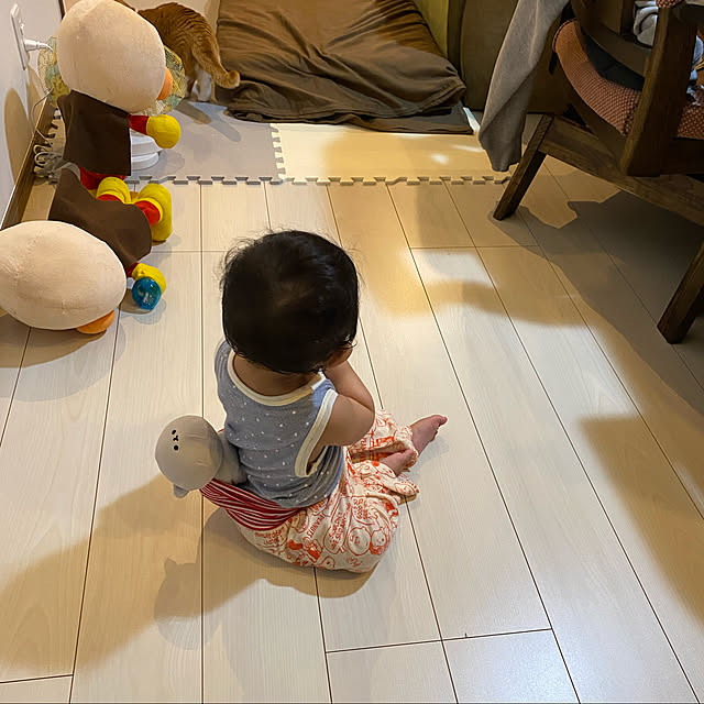 KotarouKunの-アンパンマン BIGサイズ！リトミックダンスアンパンマン おもちゃ こども 子供 女の子 ぬいぐるみ 2歳1ヶ月の家具・インテリア写真
