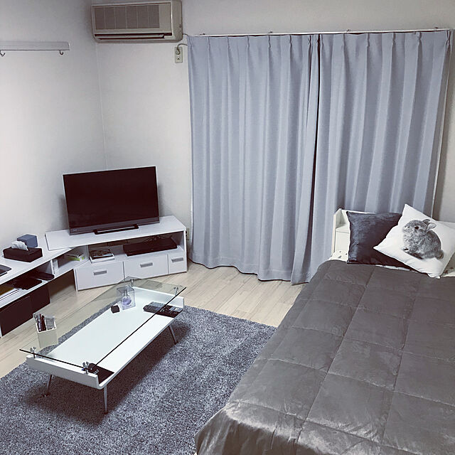 iga_bs_910のニトリ-クッションカバー(ベルベ GY) の家具・インテリア写真
