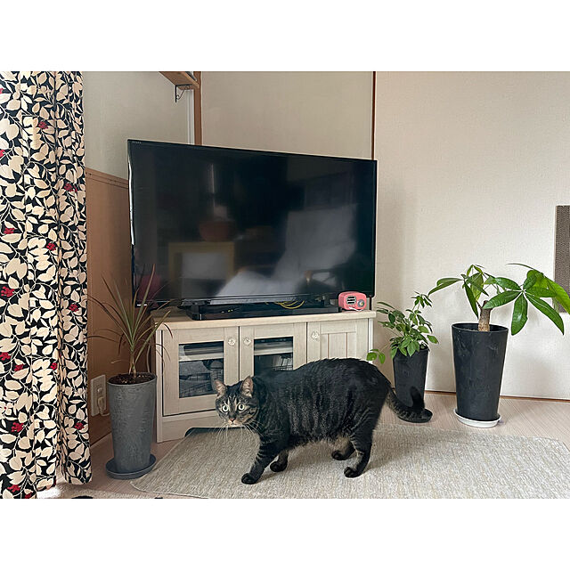 momocchiのARTSTONE-アートストーン ラウンドソーサー 22cmの家具・インテリア写真