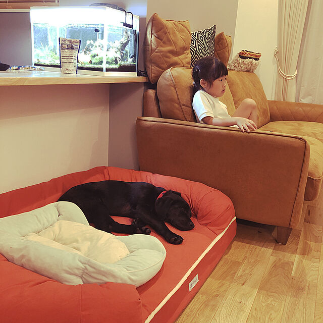 ペットベッド 犬 犬用 3D ベッド 犬用ベッド XLサイズ カバーを外して ...