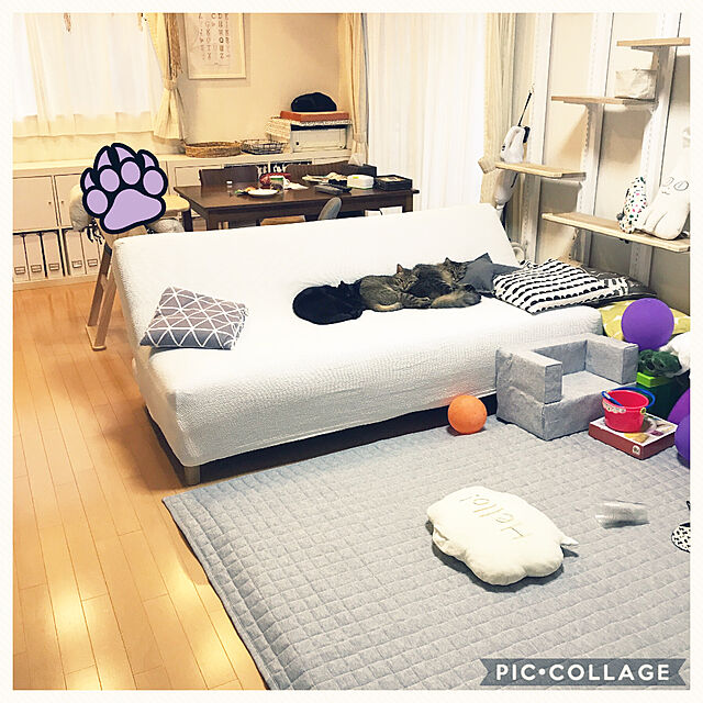 yuki0511のニトリ-モチモチクッション(食パン) の家具・インテリア写真