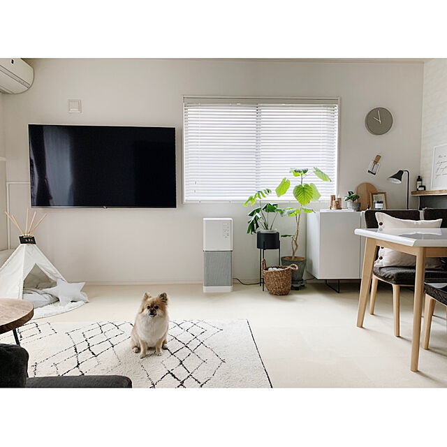 mimiのニトリ-ペットベッド Ｍ(Nホテル シカク GY M) の家具・インテリア写真