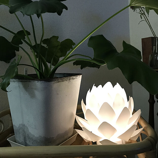 tamayukiの-デザインライト カメヤマ origami-lite 蓮花 XS オリガミライト【和風/インテリアライト/電池式/コードレス】の家具・インテリア写真