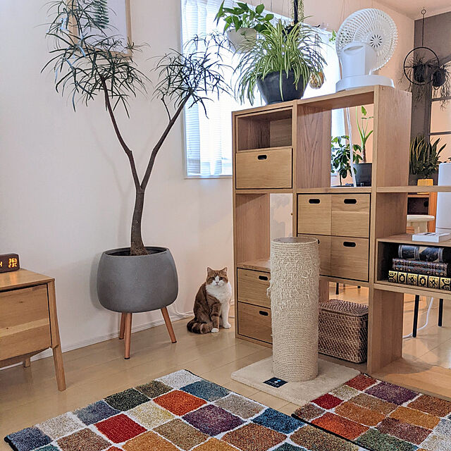 ayamameのイケヒコ・コーポレーション-トルコ製　ウィルトン織カーペット『パレット　RUG』約80×140cm 2347309の家具・インテリア写真