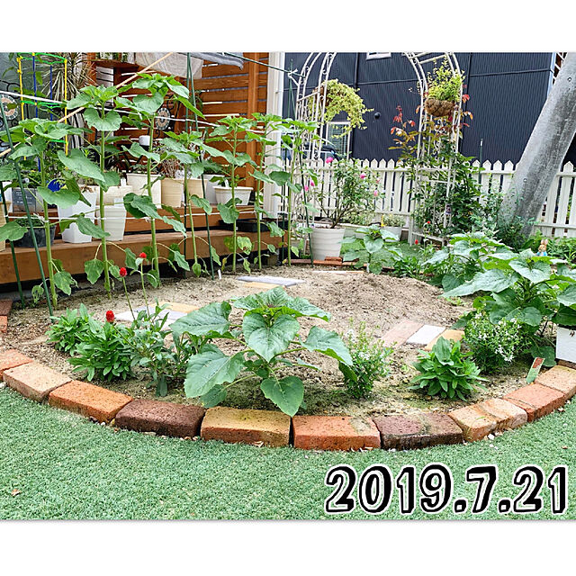 Michiの-ジニア×けいとう2種アソートパック（花タネ）の家具・インテリア写真